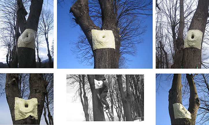 Prasto, Tree holes©, 2008;