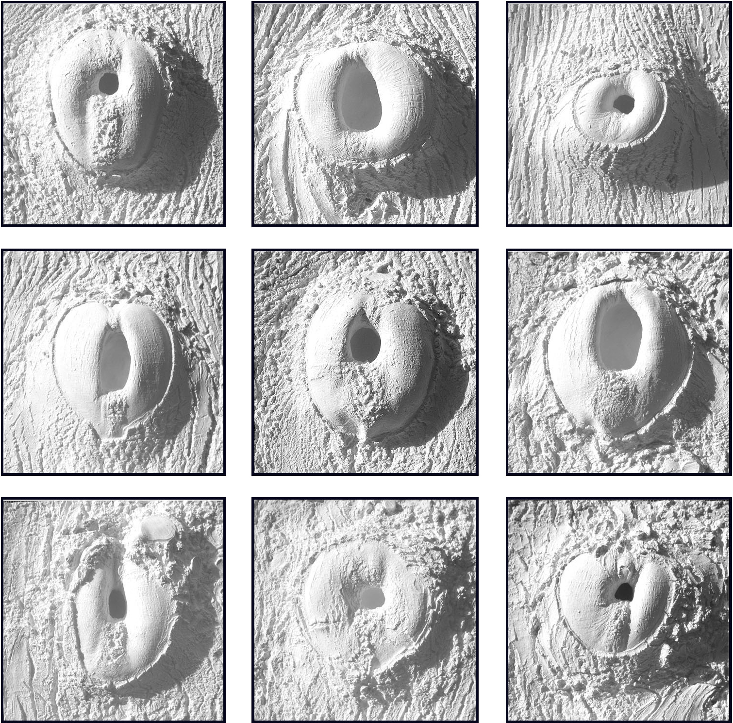 Prasto, Tree holes©, 2008; Ceramic plaster, 56x56 cm each