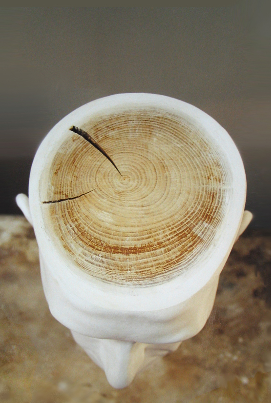Prasto, Self portrait at 32©, 1999; Ceramic plaster and 32 yars old tree, 40x30 cm